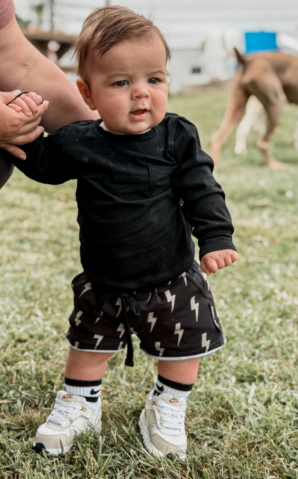 CLAY BOLT • SHORTS