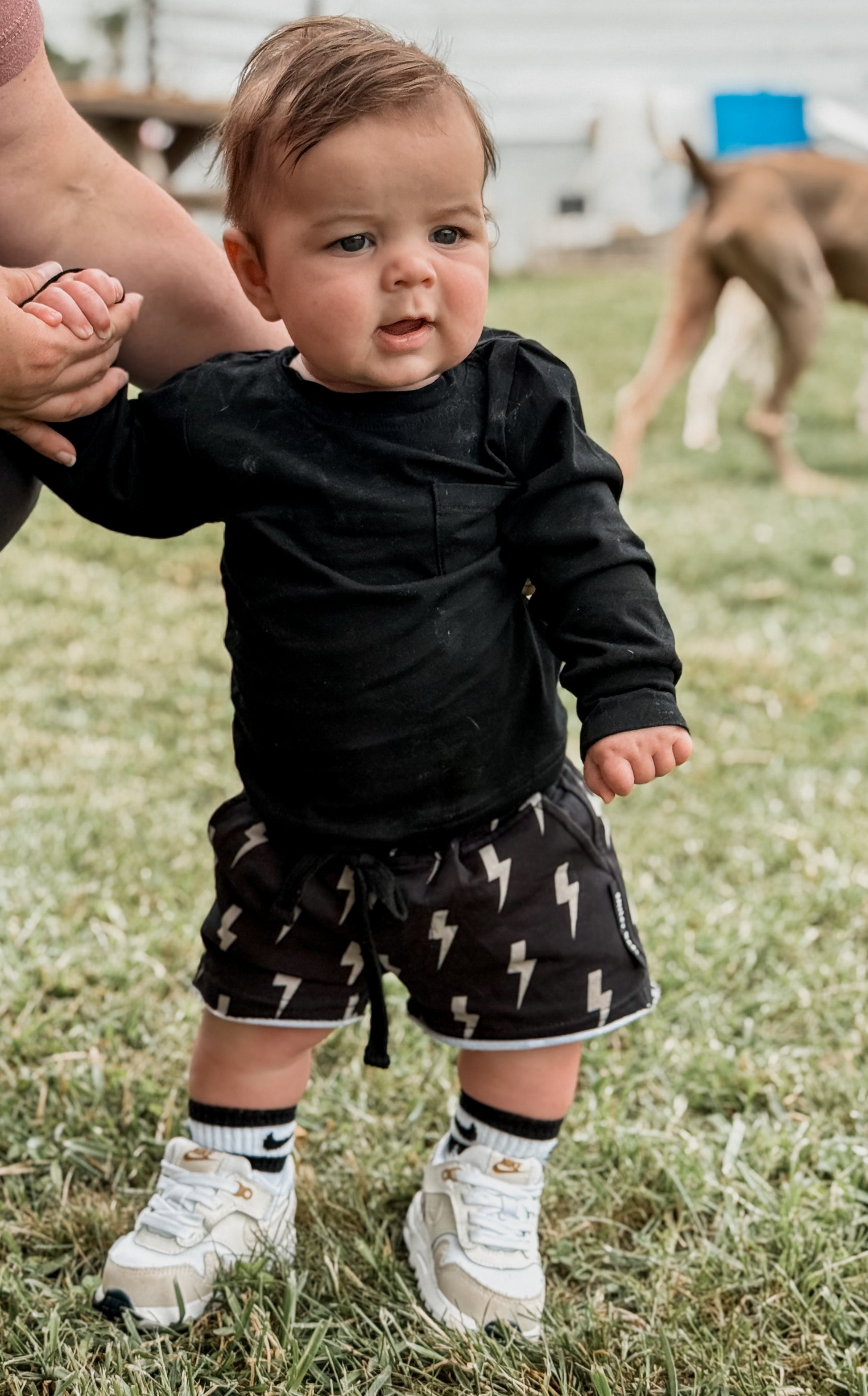 CLAY BOLT • SHORTS